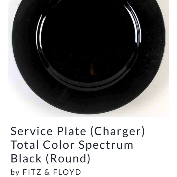 Fitz and Floyd Other - FITZ & FLOYD Set of 6 Charger Plates 12” each GUC “Color Spectrum”